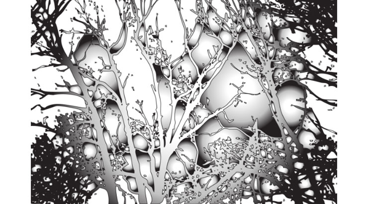 black and white picture of frost