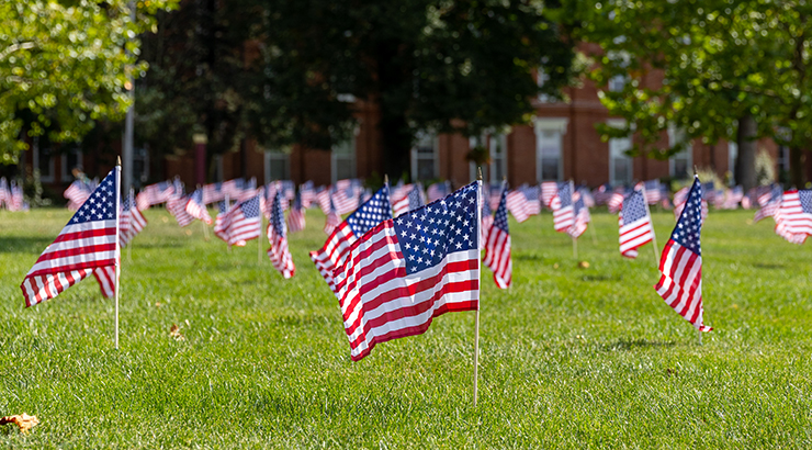 little flags in a field