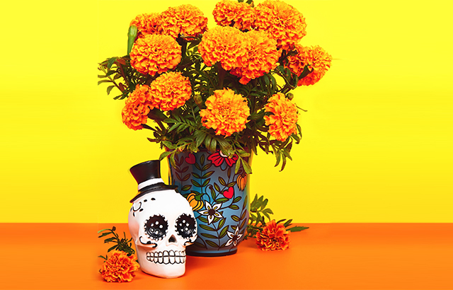 Fall flowers with Dia De Los Muertos skull