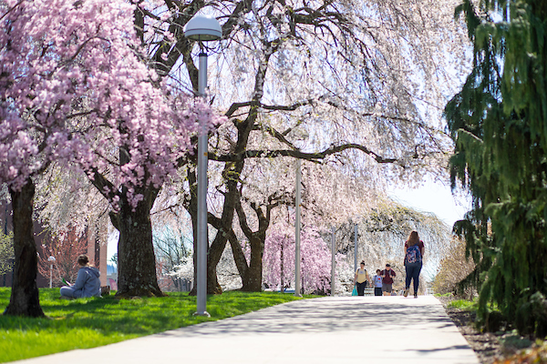 Spring scenes on KU campus