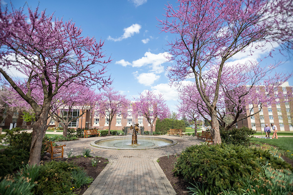 Photo of the fountain on the DMZ when the redbud trees are blooming