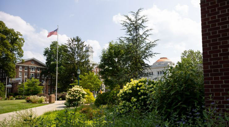 Photo of green space on campus and flag pole in the background.