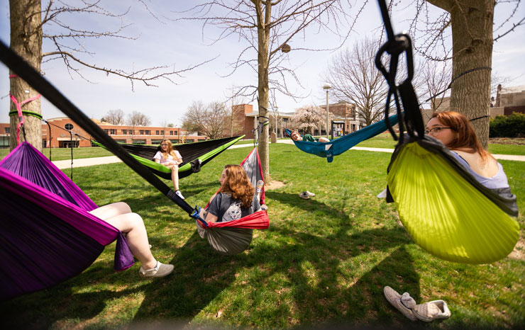 Students sitting in hammocks between trees above green grass