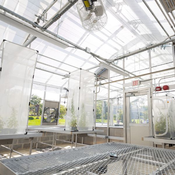 Inside the botanical research center