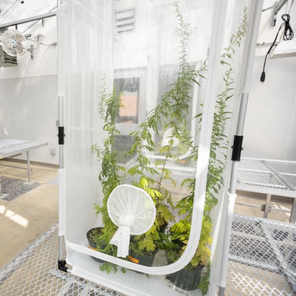 Inside the botanical research center