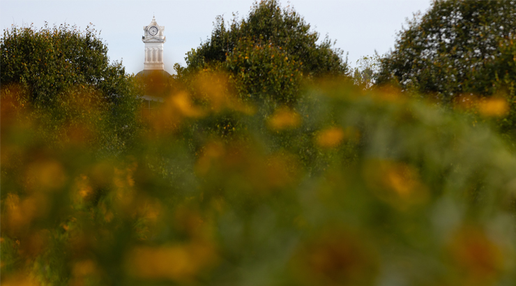 the Old Main Clock Tower peaks out from between trees with out of focus flowers in the foreground.