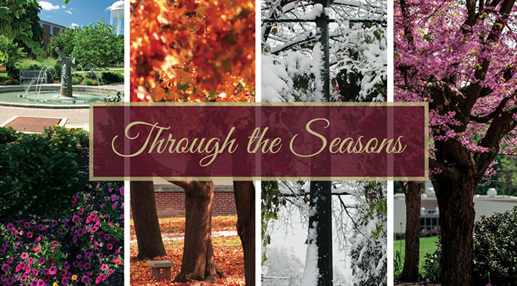 Cover of Through the Seasons photobook.