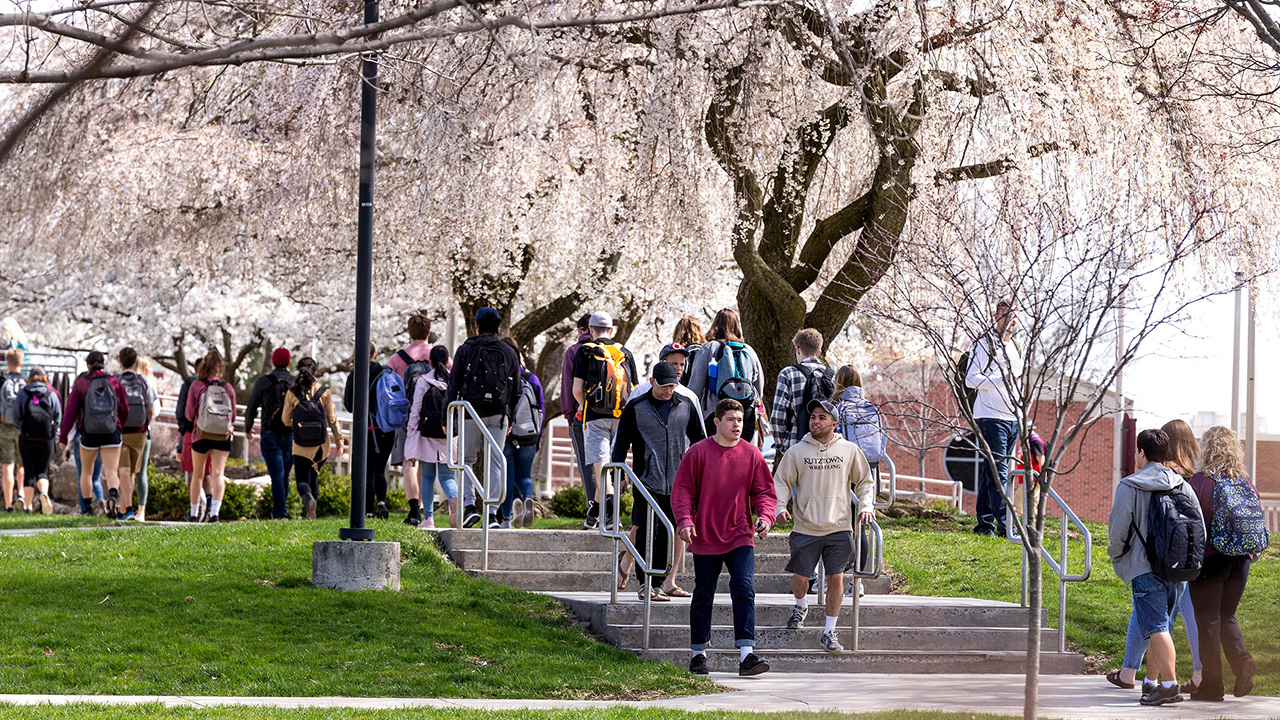 a sidewalk full of students walking toward the library