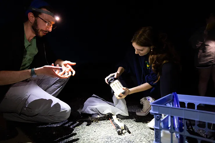 researchers in the dark with lights looking at samples.