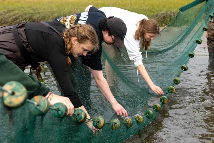 students bend over net collecting samples from the water