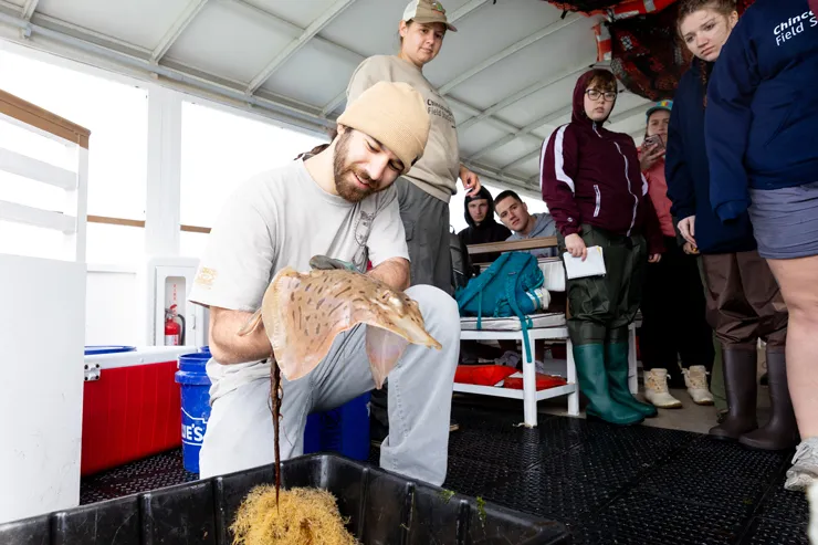 male examining a stingray as students look on.