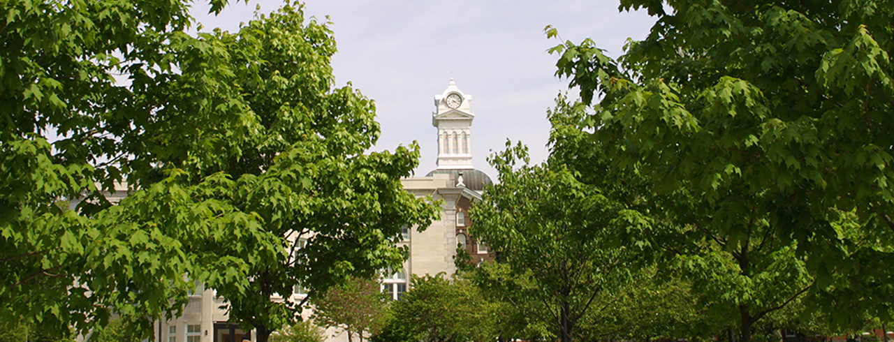 trees surround the Old Main Clock Tower