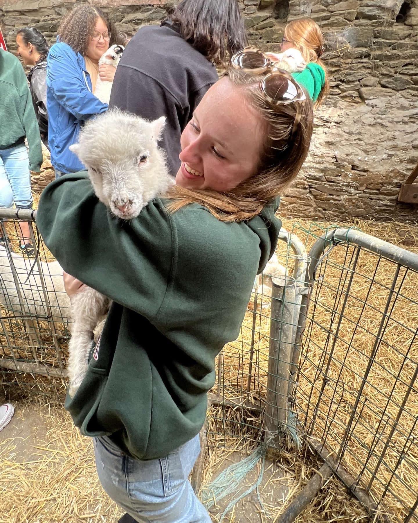 KU honors student in Ireland holding a goat.