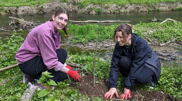 Kutztown University students planting trees.